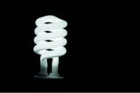 Bulb